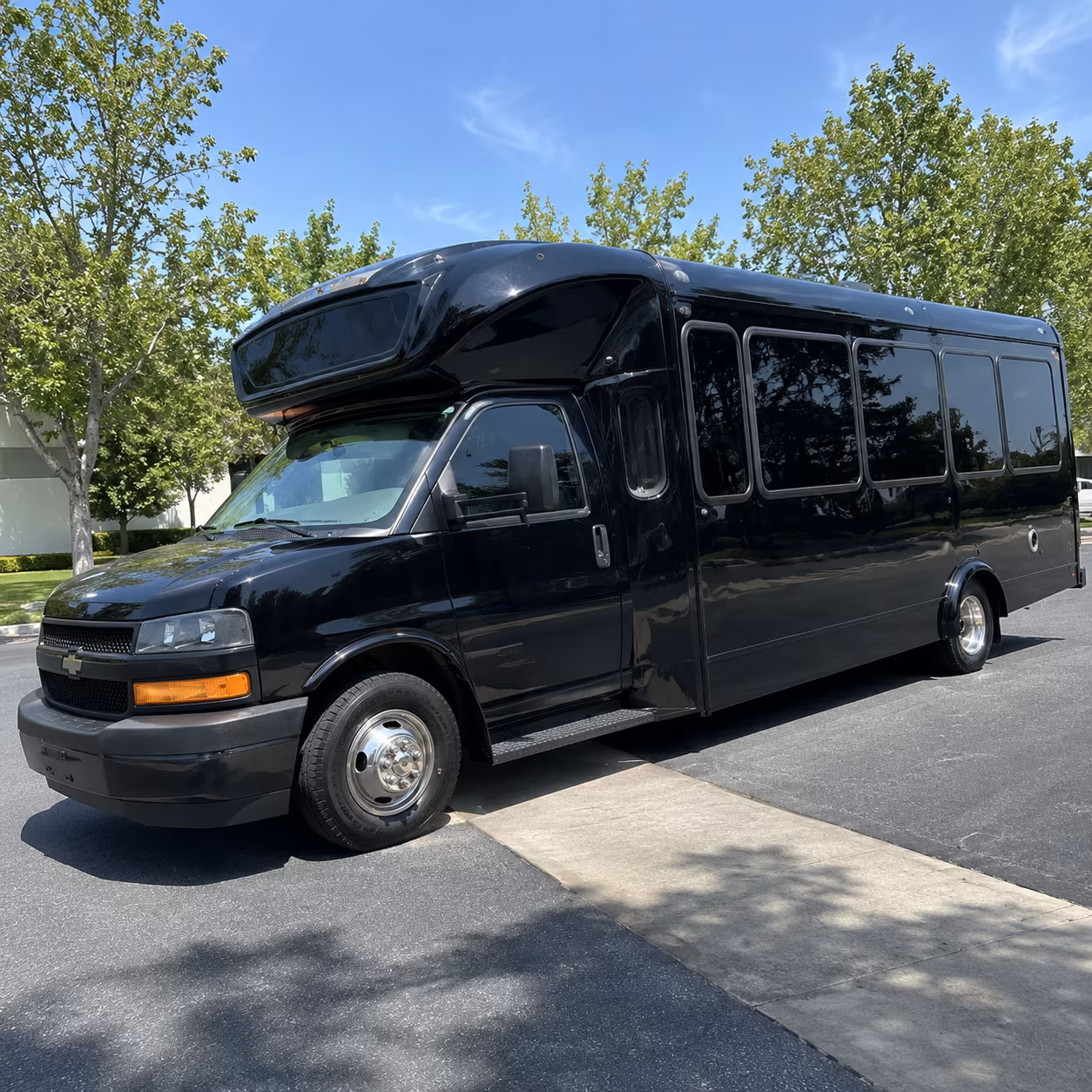 amarillo 15 passenger party bus