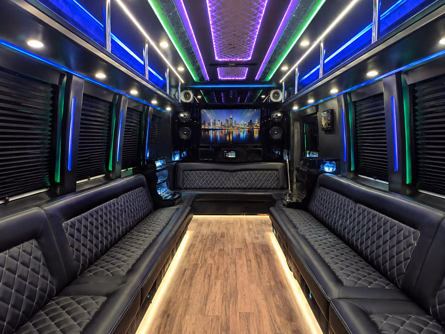 amarillo 25 passenger party bus interior